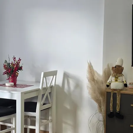 Vision * Vrnjačka Banja